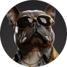 laiatgn